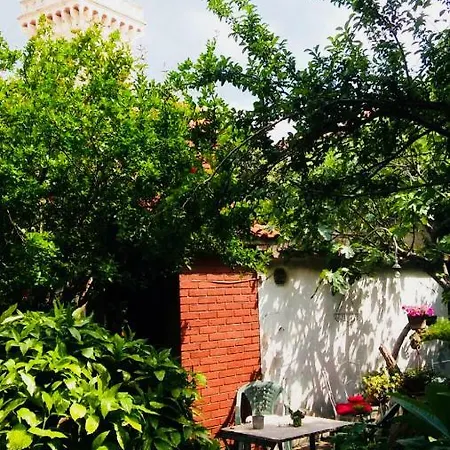 Mari Garden